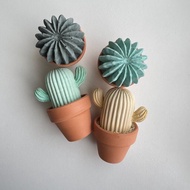 大仙人掌盆栽擴香石 |公司禮物|散水禮物|交換禮物|多肉盆栽