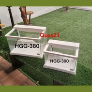 Ecological Turtles & Guppy Tank