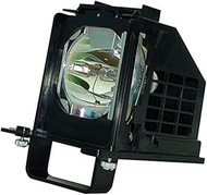 GOLDENRIVER Original 915P106010 915B441001 Projector Lamp Genuine Original OEM Bare Inside with Hous