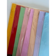 Colored Plain Wood Free Paper I Rainbow Paper I 80gsm I A4 I 20 pcs