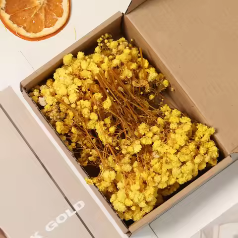 Dried & Preserved Gypsophila DIY Material Pack, Bouquet Arrangement Decorative Loose Flowers, Lover 