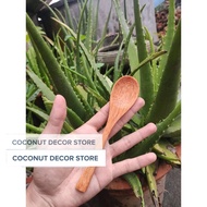 QT - Wooden coconut soup spoon 16