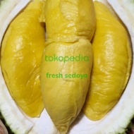 durian musang king utuh dengan kulit asli Malaysia -+1,5kg 1buah