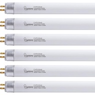 22 Inch F14T5/WW Fluorescent Light Bulb, 3000K Warm White, T5 14 Watts Fluorescent Replacement Bulb 