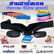 อะไหล่ สายคาดอก สายคาดหน้าอก สายรัด วัดชีพจร Garmin Polar Wahoo Bryton Sigma Cateye Coospo Heart Rat