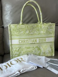 Christian Dior Book Tote Bag Medium