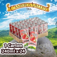 CARTON CAMERON VALLEY ICED STRAWBERRY TEA (RTD) 240 ML
