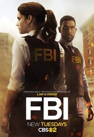 BLURAY English TV Series FBI Collection