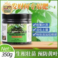 【樂樂屋】發財樹專用肥料家庭有機 花肥山東代批發黃葉爛根復合肥貝可施