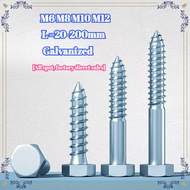 Galvanized wood screw Self-tapping screw Extended hexagonal self-tapping wood screw M6 M8 M10 M12 * 