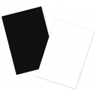 Illustration Board per piece One Half Size 1/2 2ply
