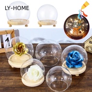 LY Glass cloche Plants Fairy Lights Spherical Terrarium Transparent Bottle Glass Vase Flower Storage box