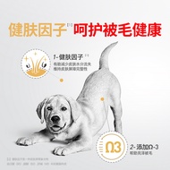 Royal Canin Labrador Dog Food Puppy Adult Senior Dog Special Breed Dog Food Large Dog Complete Dog F