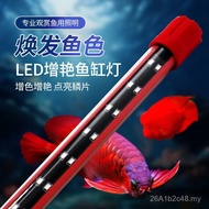 Lampu LED akuarium yang meningkatkan warna, lampu akuarium ikan arwana kalis air, lampu akuarium ika