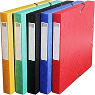 Exacompta Scotten 50710E Pack of 10 Archive Boxes with Elastic Closure and Sustainable, Spine 25 mm,