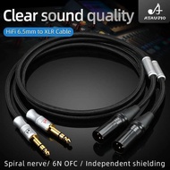 Hifi 6.5mm to XLR Cable Dual TRS 6.35mm to 3 Pin XLR Balanced Cable for Mic ,Platform, DJ Pro and Mo