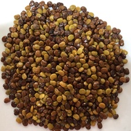 Benih tutup Bumi / Kacang Penutup bumi / Cover Crop seeds - Calopogonium Caeruleum 1KG