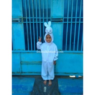 Doll /Maskot rabbit Character Children's Clown Costume /maskot