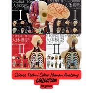 Science Techni Colour Human Anatomy-Keychain Collection-Kitan Club -