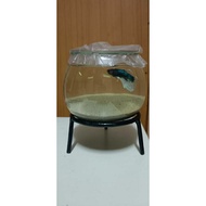 BESI STAND TEMPAT LETAK AQUARIUM IKAN BULAT