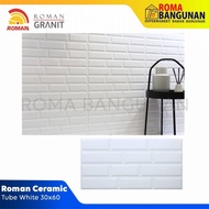 Roman Keramik Dinding Kamar Mandi Dapur Dtube White Tube White 30x60R