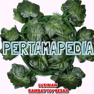 Dozens of Large Jumbo Vines/Plastic Vines/Artificial Vines/Decorative Vines/Synthetic Leaves