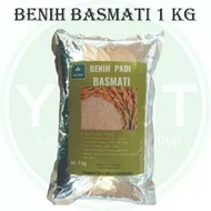 Benih Bibit Padi Basmati