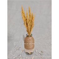 FG - Maurren Vase, Rustic Flower Vase, Scandinavian Flower Vase, Glass Flower Vase, Minimalist Flowe