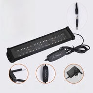 หลอด UVB สำหรับสัตว์เลื้อยคลาน หลอด UVA สำหรับการให้แสง หลอดเสริมแคลเซียม หลอดไฟในกระดูกสัตว์เลื้อยค