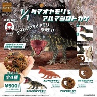 童心未泯 SO-TA 轉蛋 扭蛋 1/1 瘤尾守宮 & 犰狳蜥 整套全4種 模型 公仔