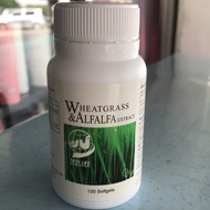 Wheatgrass &Alfafa _extract