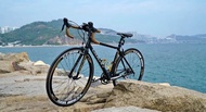 Giant SCR 2 2013