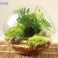 OONE Clear Glass Ball Vase, Transparent Clear Borosilicate Glass Vase, Glass Holder 8/10/12/16cm Obl
