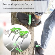 Coconut Tree Fast Climbing Tool Tree Pole Climbing Spike Set 2pcs Steel Claw Climbing Tree Spikes
