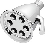 Icon Anystream 3-Spray Polished Chrome Low Flow Shower Head 2.0-GPM (7.6 LPM)