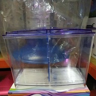 Double Fighting Fish Tank