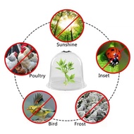 Reusable Garden Plant Cloche, Plant Dome Bell Cover Plastic Mini Greenhouse for Warming Garden Soil 