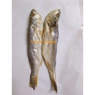 (100 GRAM) ikan masin gelama masin/ ikan gelama masin/ ikan kering gelama masin