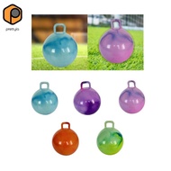 [prettyia] Bouncy Ball, Inflatable Bouncy Ball, with Handle, 55cm Diameter, Kindergarten Bouncy Game