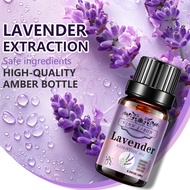 1-5pc Selected 1 Bottle of Lavender (0.34oz/10ml), Oily Formula Compatible Humidifier Compatible Hum