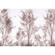 Decorative background images, decorative background images, shutterstock images, landscape images, w