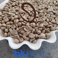 [blueracoffee] UNROASTED CATIMOR ARABICA COFFEE BEAN / GREEN RAW BEAN / YUNNAN COFFEE / ARABICA BEAN