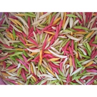 BUBUR CACA KAMPUNG  TRADISIONAL