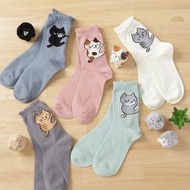 fuku fuku nyanko 貓 雜貨  hapins  正版   灰白貓 Socks 襪 襪子