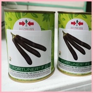 ❖ ◎ FORTUNER F1 EGGPLANT SEEDS (50g CAN)