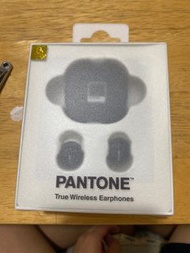 pantone 藍牙耳機