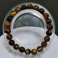 Tiger Eyes Bracelet 8MM