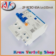 RCBO 2P NXBLE-63 63A 63 Amp Circuit Breaker 100ma(0.1A) And 300ma(0.3A) RCBO63A Choose The Product A