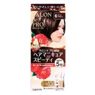 Salon de Pro 美甲速效 (灰髮適用) 6 深棕色 [美甲 100g + 保護霜 2g + 卸妝液 10mL] 1 件