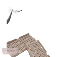 Flare 5 strands Eyelashes extension